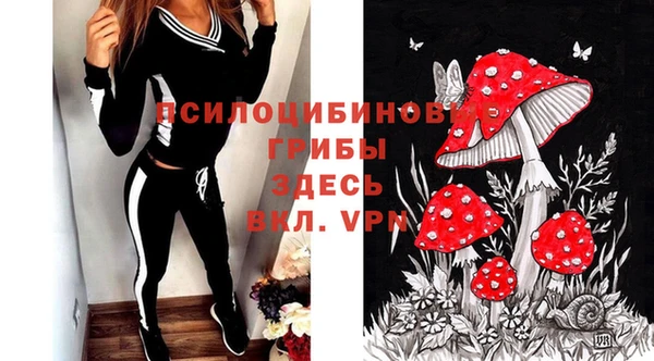 спайс Абаза